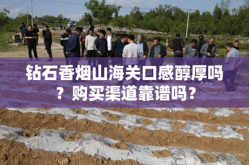 钻石香烟山海关口感醇厚吗？购买渠道靠谱吗？
